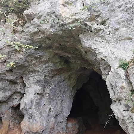 アパート Domaine Du Moulin De La Roque - De La Source - Pierre & Eau - Fraicheur En Perigord